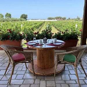 B&B Vigna Di Filippo - Paestum